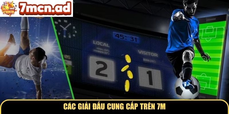 Các giải đấu cung cấp trên 7M