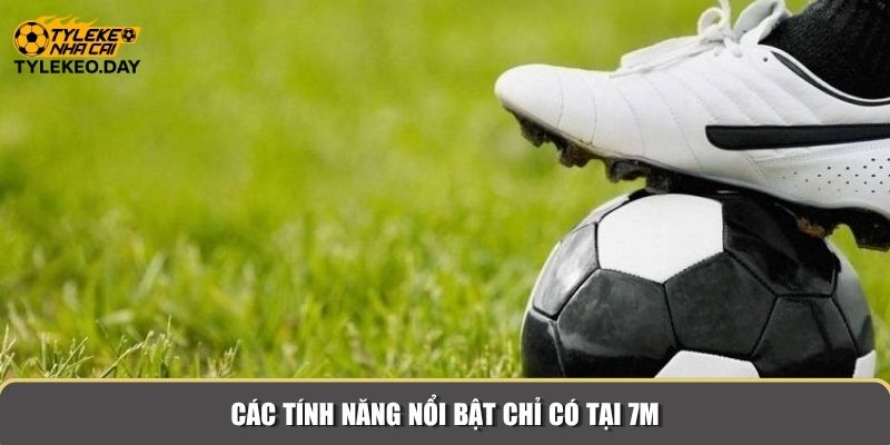 Các tính năng nổi bật chỉ có tại 7M