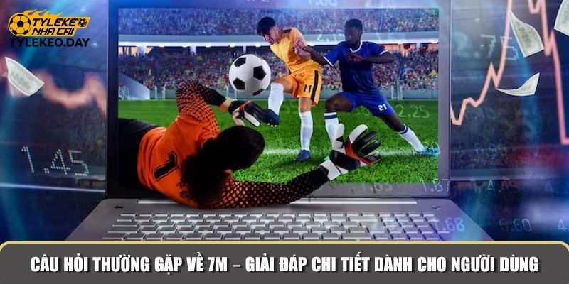 Câu hỏi thường gặp về 7M – Giải đáp chi tiết dành cho người dùng