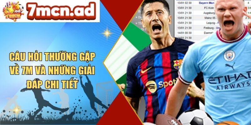 Câu Hỏi Thường Gặp Về 7M Và Những Giải Đáp Chi Tiết