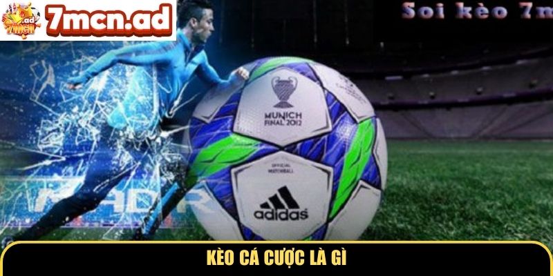 Kèo cá cược là gì?