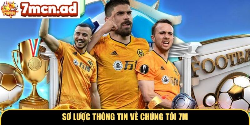 Sơ lược thông tin về chúng tôi 7M
