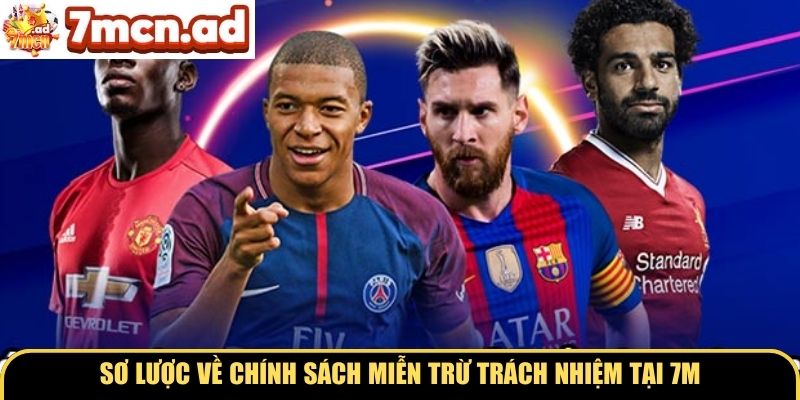 Sơ lược về chính sách miễn trừ trách nhiệm tại 7M