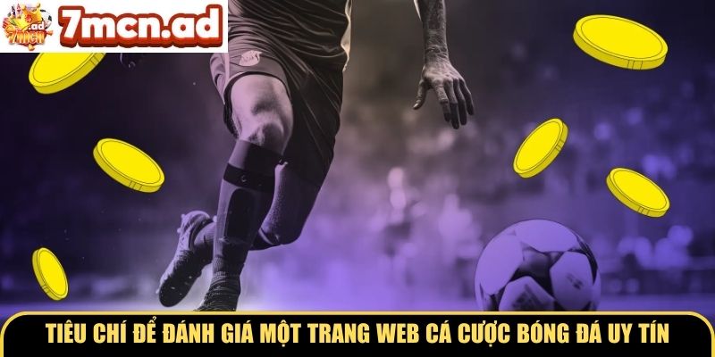 Tiêu chí để đánh giá một trang web cá cược bóng đá uy tín