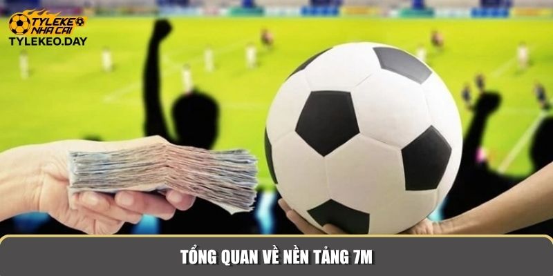 Tổng quan về nền tảng 7M